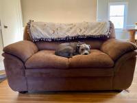 “Before, when I’ve spent like $1,000 on a couch, it’s an expensive investment and you don’t want dog hair all over it. But when you buy used furniture, having our little dog Rosie on the couch just taking a nap is precious. It’s much easier to enjoy your furniture when it’s a fraction of your paycheck.” -- Kylie King